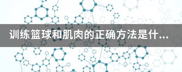 篮球运动员肌肉训练方法