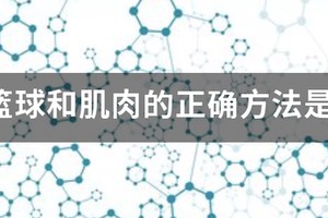 篮球运动员肌肉训练方法